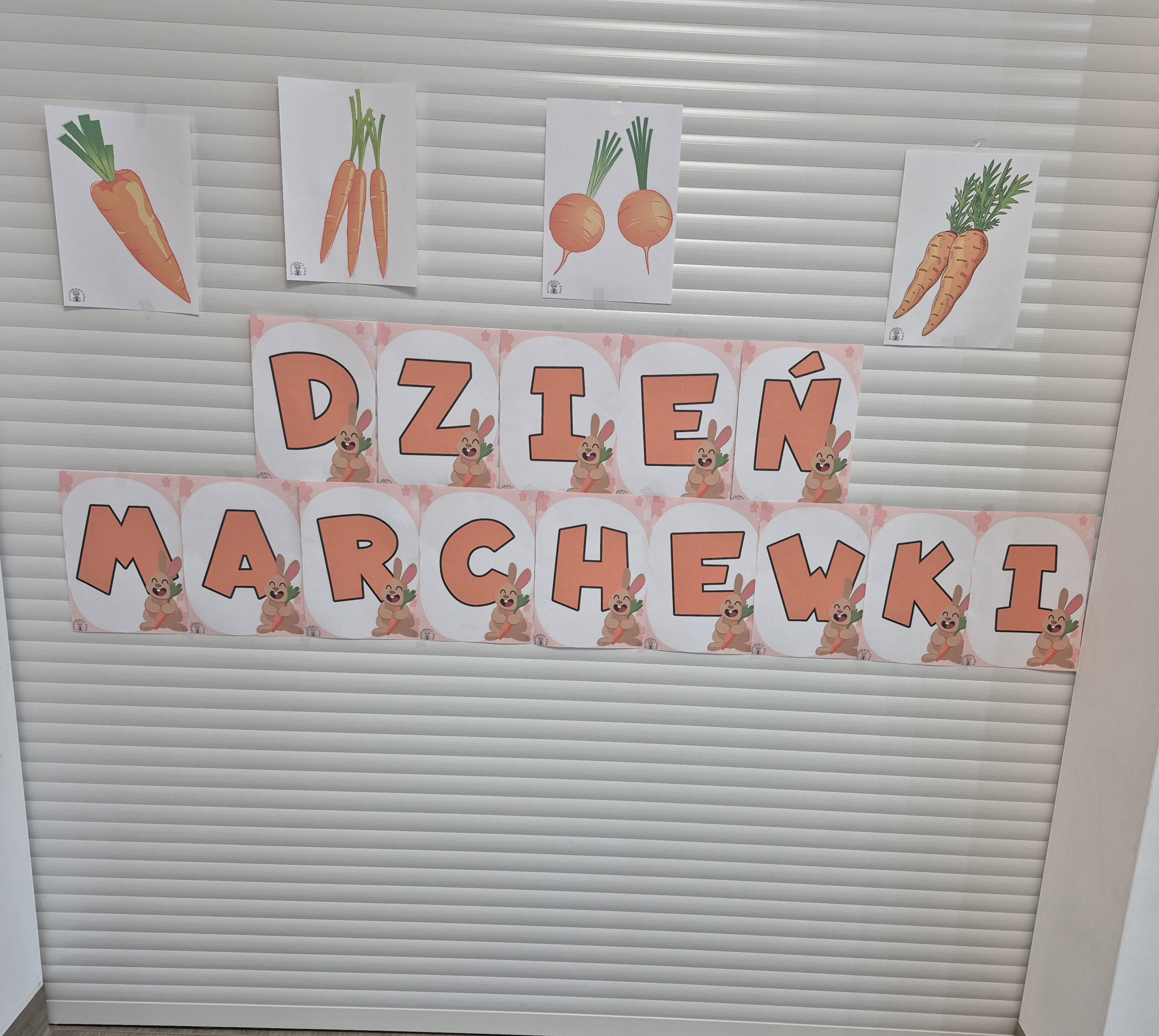Dzień marchewki🥕🥕