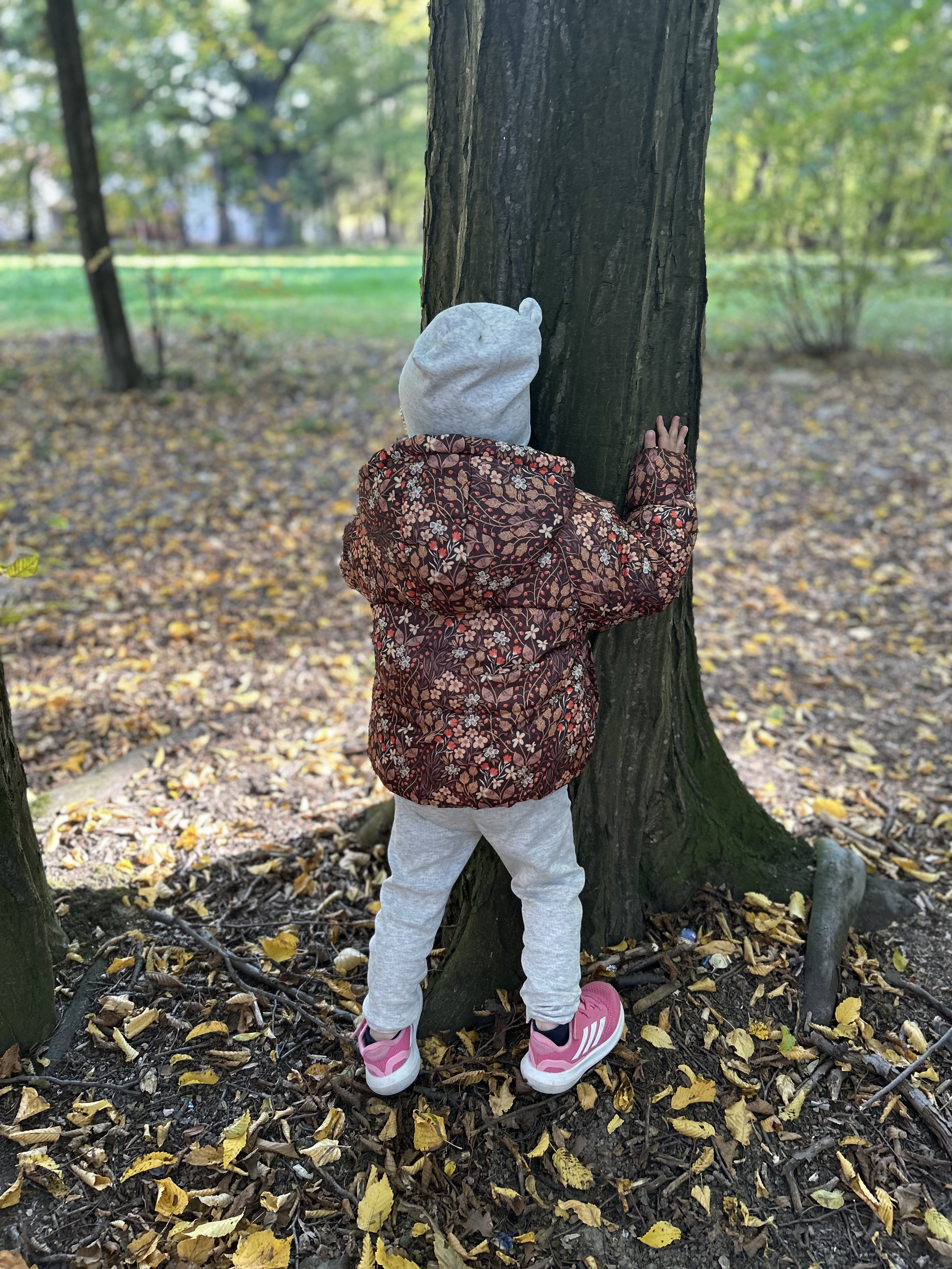 Dzień Drzewa u Tygrysków!!! 🌳🍁🍂🐯