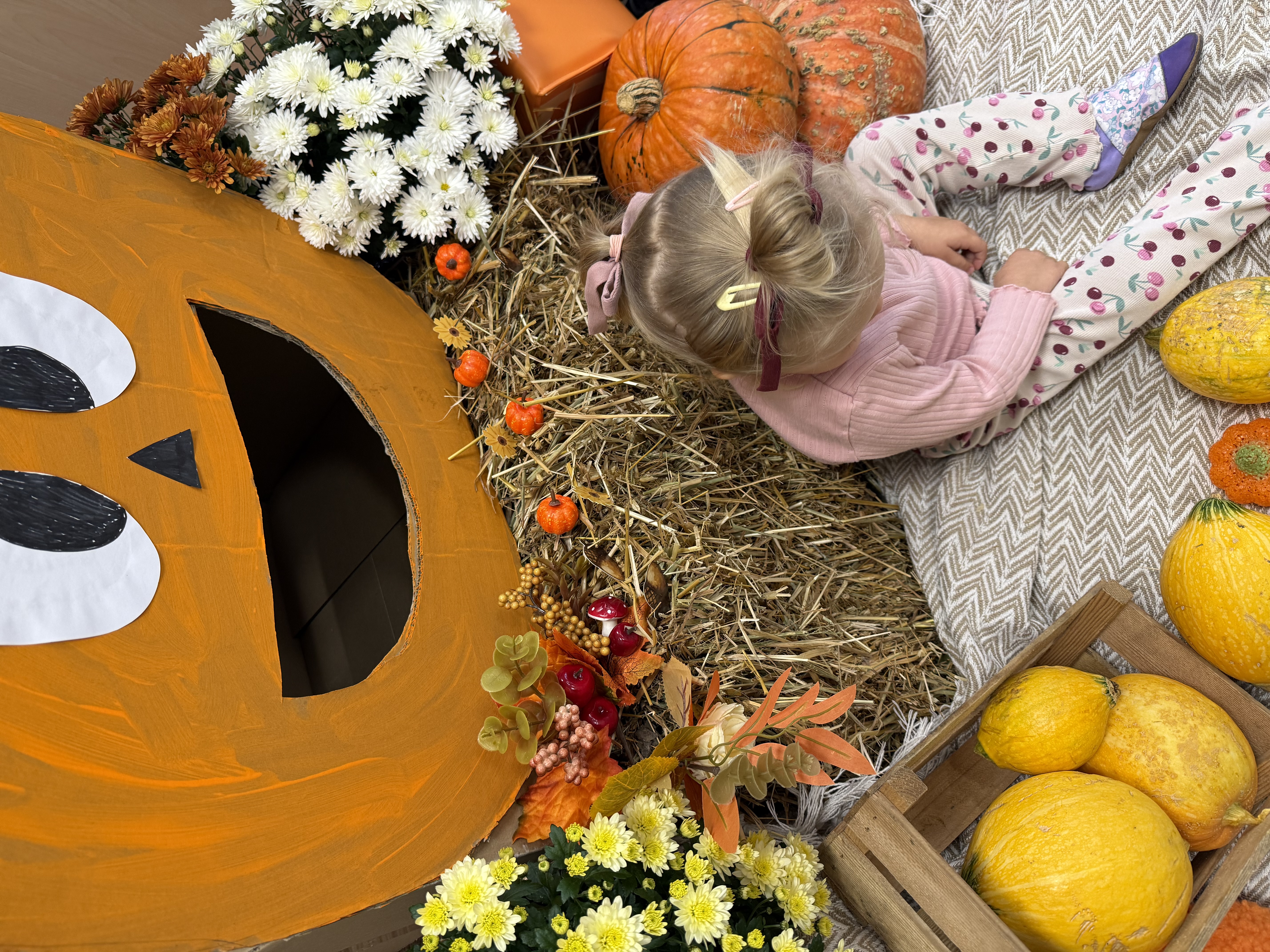 Dzień Dyni!🧡🎃